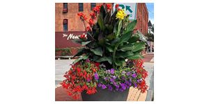Lancaster Beautification